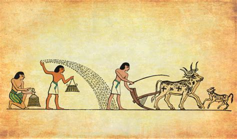 Ancient Egyptian Farming Along The Nile