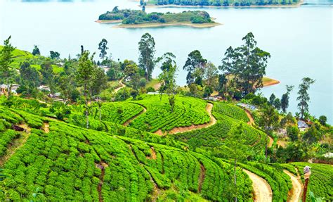 Tea Country Railroads And The Colonial Past Sri Lanka Luxury Tour