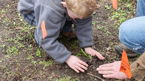 15 Ways To Engage Kids In Nature Mulhalls