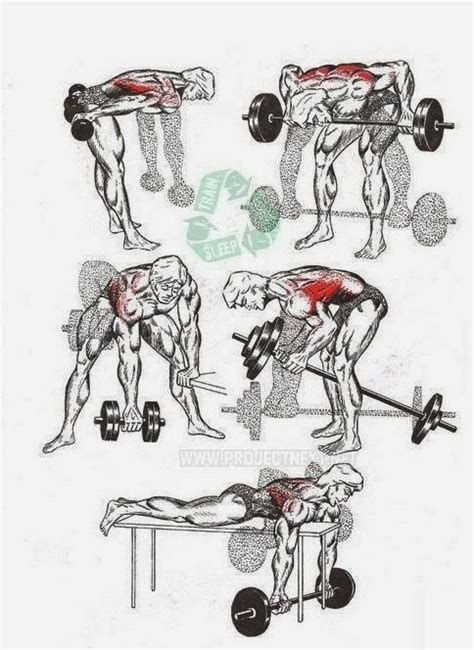 Chest muscles are huge, and therefore chest exercise routines for men can be tough. Daily Bodybuilding Motivation: Huge Back Workout Chart
