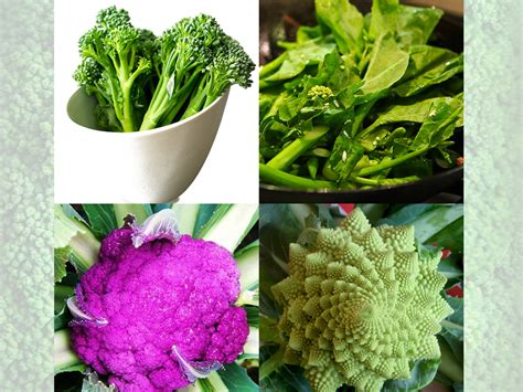 Types Of Broccoli Broccoli Passion