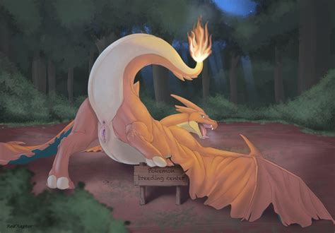 Rule 34 Absurdres Anus Ass Charizard Dragon Female Fire
