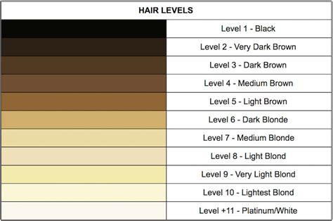 hibba alford beauty using hair color chart for getting a perfect look loreal hair color chart