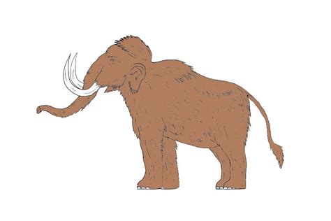 Animation Woolly Mammoth Raising Tu Graphics Creative Market