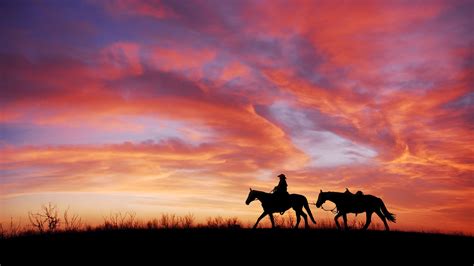 Cowboy Wallpaper 4k Horses Silhouette Dawn Sunset