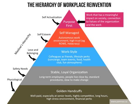 Pam Ross The Hierarchy Of Workplace Reinvention Where Are You