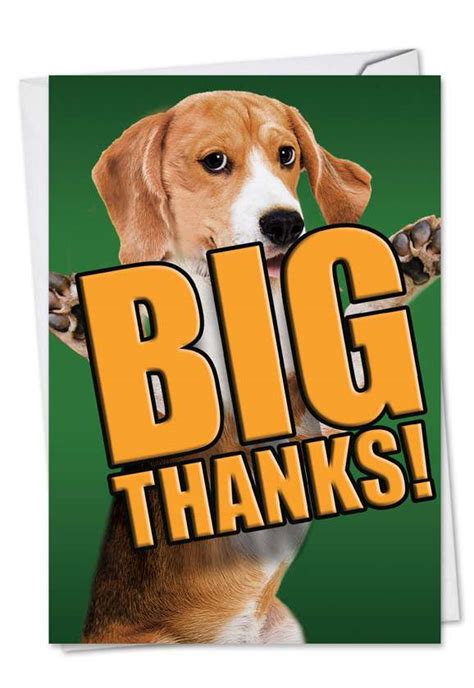 Dog Big Thanks Nobleworks By Design Thank You Card