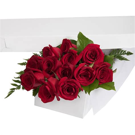 Educational monthly science kits are packed with plenty of stimulating and engaging. One Dozen Red Long Stem Roses in a Gift Box | Ital Florist