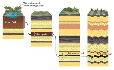 Adanya interaksi sosial antarindividu dan kelompok atau interaksi sosial antarkelompok untuk memenuhi kebutuhan hidup maka dalam masyarakat terbentuk berbagai lembaga sosial. ayo belajar GEOLOGI !!": BATUBARA
