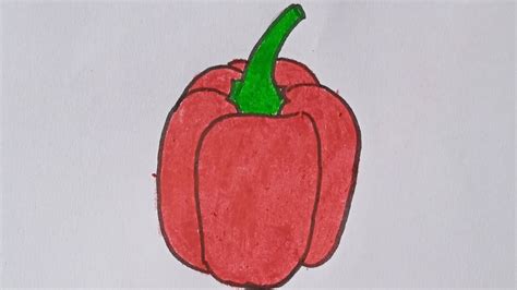 How To Draw A Capsicumcapsicum Drawing And Colouringcapsicum Drawing