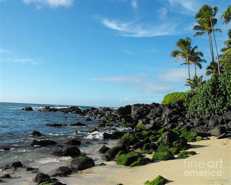 Turtle Beach Oahu Hawaii Photograph By Rebecca Margraf Pixels