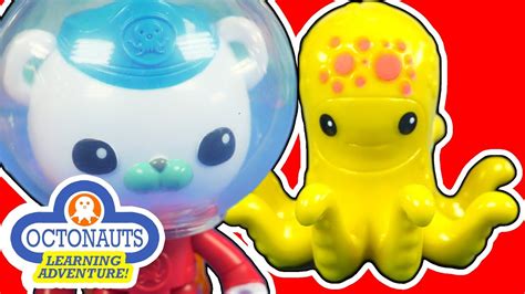 The Octonauts Learning Adventures Which Sea Creature Is