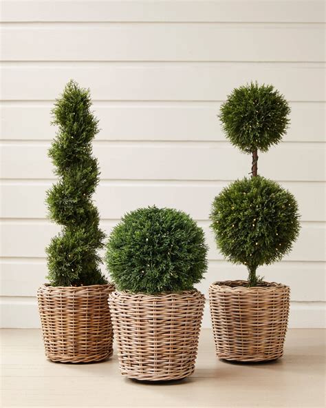 Outdoor Led Cypress Artificial Topiary Balsam Hill Outdoor Topiary Artificial Topiary Topiary