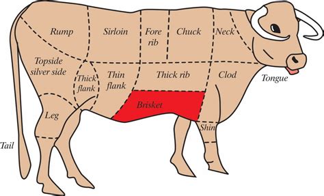 Diagram Of How To Butcher A Beef Cow Hubpages