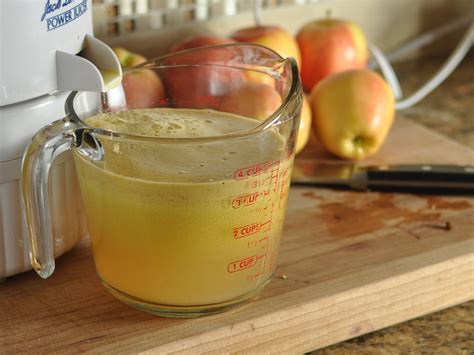 juice apple fermented apples homemade juicing quart juiced enough mommy