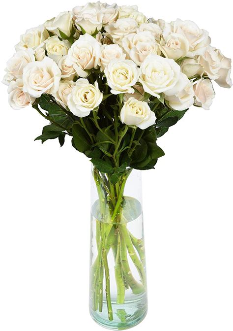 Arabella Farm Direct Bouquet Of Fresh Cut White Spray Roses With An 12