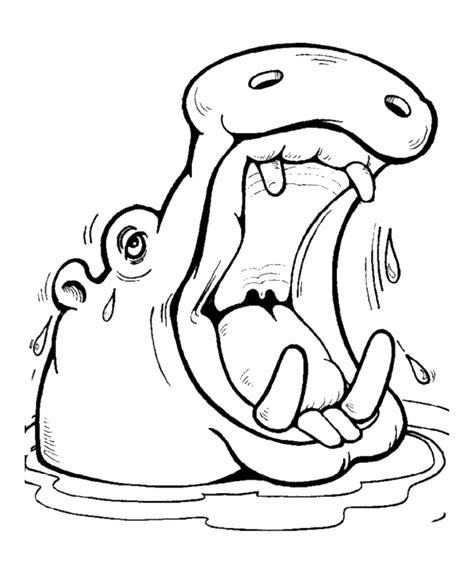 Coloring for hippo, furious hippo coloring netart, hippo in the jugle coloring netart. Hippo Coloring Pages