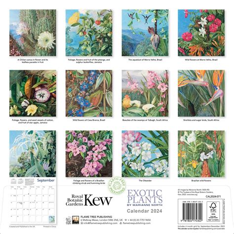 Kew Gardens Marianne North Wall Calendar 2024 Art Calendar Book