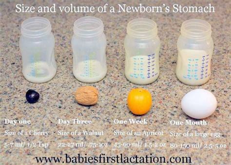Approved by the babycenter canada medical advisory board. How much milk a baby can take at once | New baby products ...