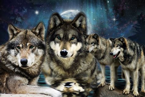Pack Of Wolves Wallpaper Wallpapersafari