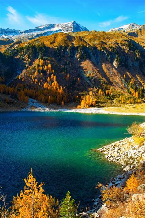 Autumn Alps Mountain Lake Landscape Stock Photo Image Of Pine