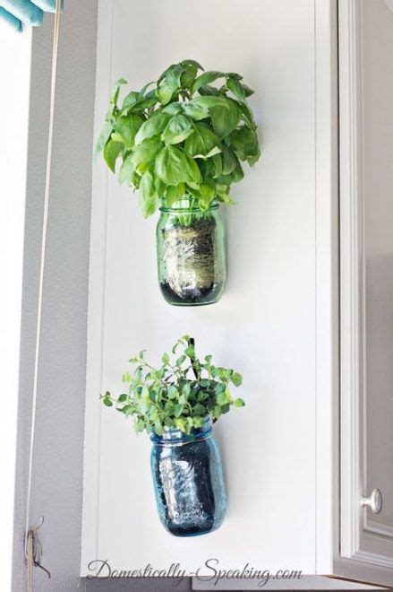 Kitchen Window Plants Mason Jars 29 Best Ideas Mason Jar Herbs