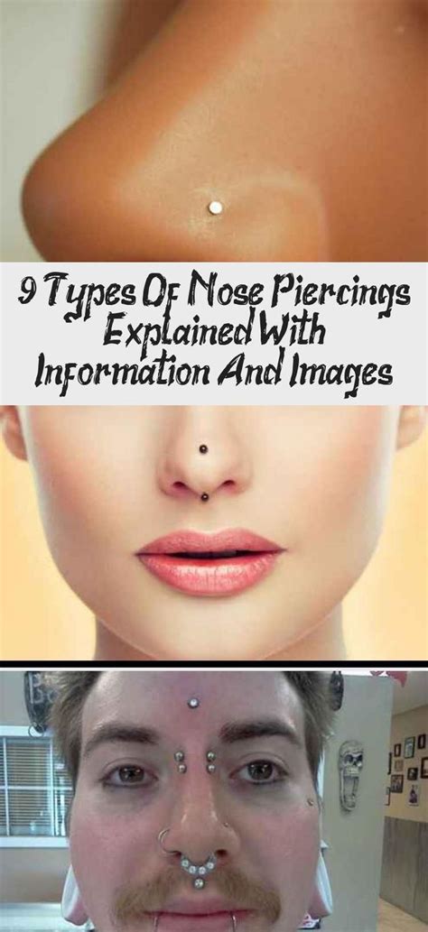 Different Types Of Nose Piercings With Pictures