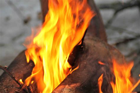 Fire | Pics4Learning
