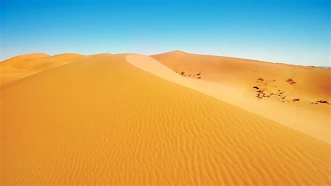 Desert Background 58 Images