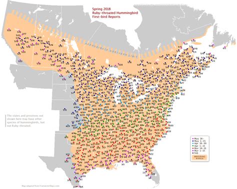 Ruby Throated Map For North America Hummingbird Migration Ruby