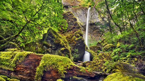Waterfalls Rock Trees Rocks Moss Wallpapers Hd Desktop And Mobile