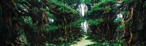 Very interesting forest style work, with a lot of depth and perspective. Aquascape Forest Theme - Aquascape Ideas