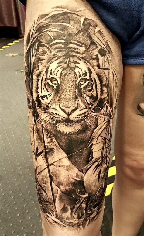 120 Tatuagens de Tigre Incríveis Masculinas e Femininas Top Tatuagens