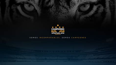 Detailed info on squad, results, tables, goals scored, goals conceded, clean sheets, btts, over 2.5, and more. Wallpapers « Tipo de Descarga « Tigres UANL