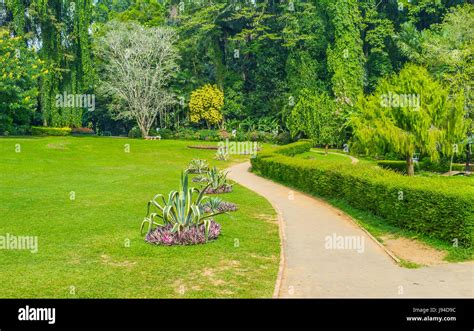 Royal Botanical Garden In Peradeniya Is A Must See Landmark For All