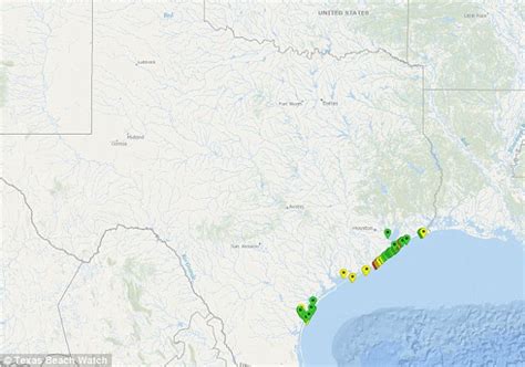 state agency warns tourists of fecal bacteria in texas beaches daily mail online