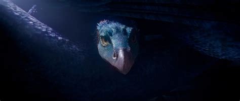 So far, the wizarding world has given us eight harry potter films and two fantastic beasts films to watch over and over. The Crimes of Grindelwald- 15 Fantastic Beasts That Appear ...
