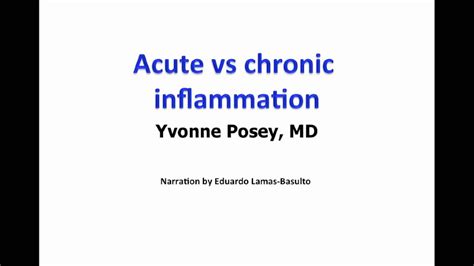 Acute Vs Chronic Inflammation Youtube