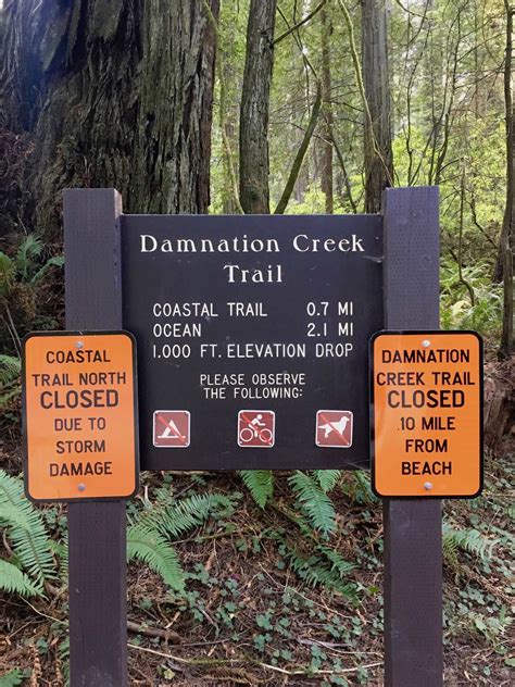 A Magical Mystical Hike On The Damnation Creek Trail In Del Norte Coast