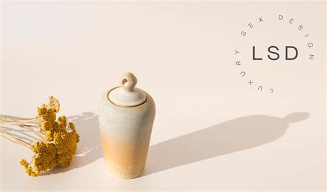 Legal Advice — Luxury Sex Design Ceramic Dildo In A Vase