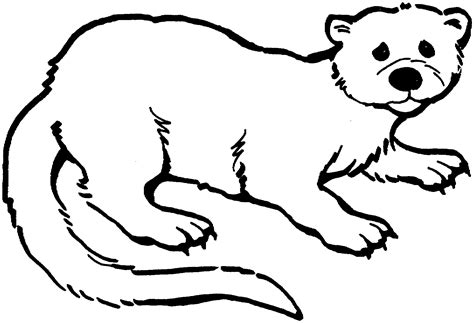 Otter Coloring Pages Kidsuki