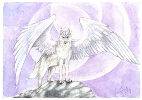 White Angel Aerindeer28s Angels And Demons Wolf Pack Photo 33415561
