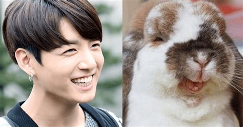 We did not find results for: BTS Jungkook Always Smiles Like A Bunny - Koreaboo