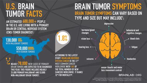 Brain Tumor Facts For Btam