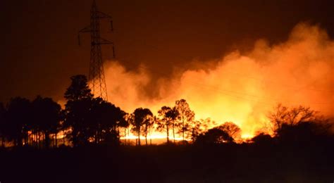 Los incendios son uno de los principales disturbios en las sierras de córdoba. Alerta roja por incendios forestales en 11 municipios de ...