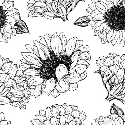 Free Free 285 Sunflower Svg Free Black And White SVG PNG EPS DXF File