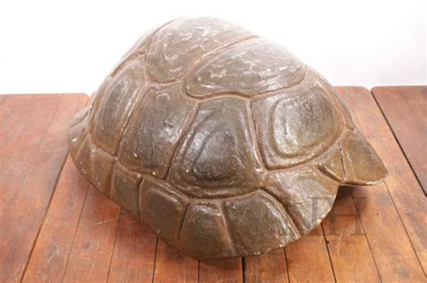 Fibreglass Turtle Shell Northern Prop Hire