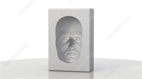 Are you wondering, what kind of hollow face illusion is that? Hollow-face illusion,artwork - Stock Image - C011/0455 ...
