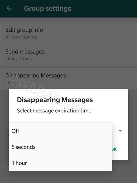 Whatsapp Is Testing A Self Destructing Messages Feature Techcrunch