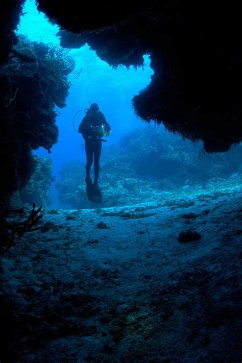 64 A Scuba Diver In Cozumel With Images Underwater Photography